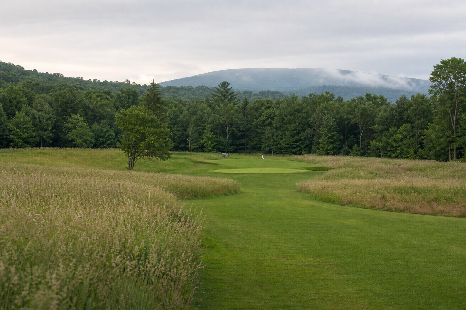 Open fairway and meadow