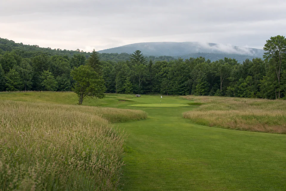 Open fairway and meadow